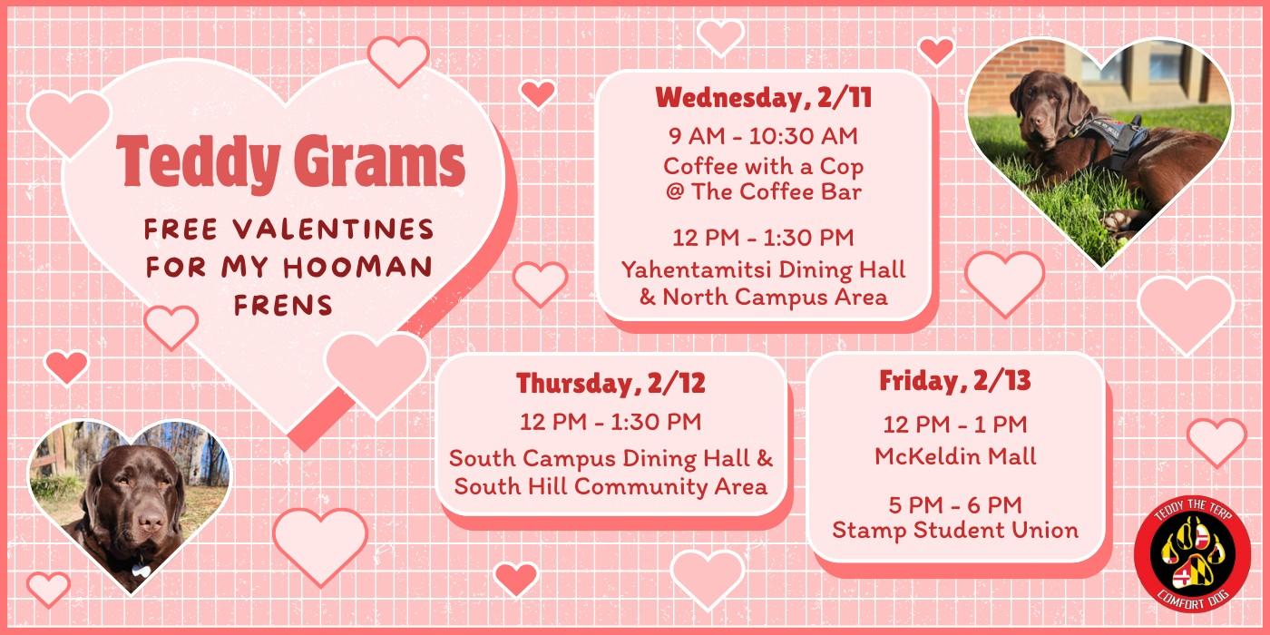 Teddy Grams: Free Valentines for my Hooman Frens. Wednesday, 2/11 9 -10:30a at The Coffee Bar, 12-1:30p Yahentamitsi Dining Hall and North Campus Area. Thursday, 2/12 - 12-1:30p South Campus Dining Hall and South Hill Community Area. Friday, 2/13 - 12-1p McKeldin Mall and 5-6p Stamp Student Union. 
